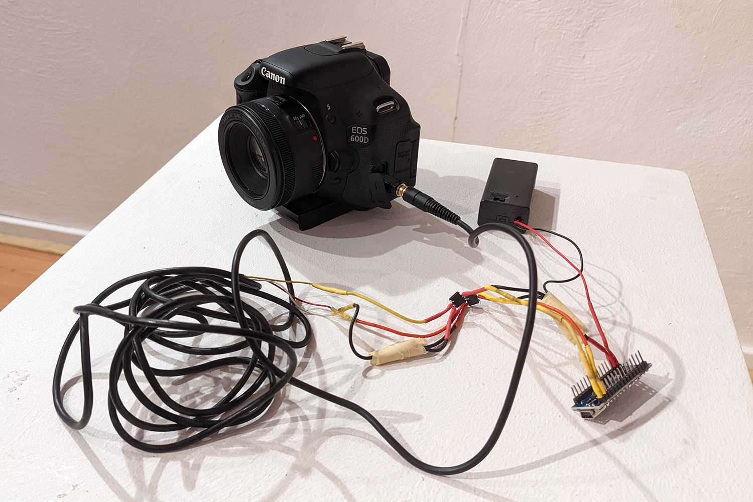 A photograph captured by the Kunst digital organism