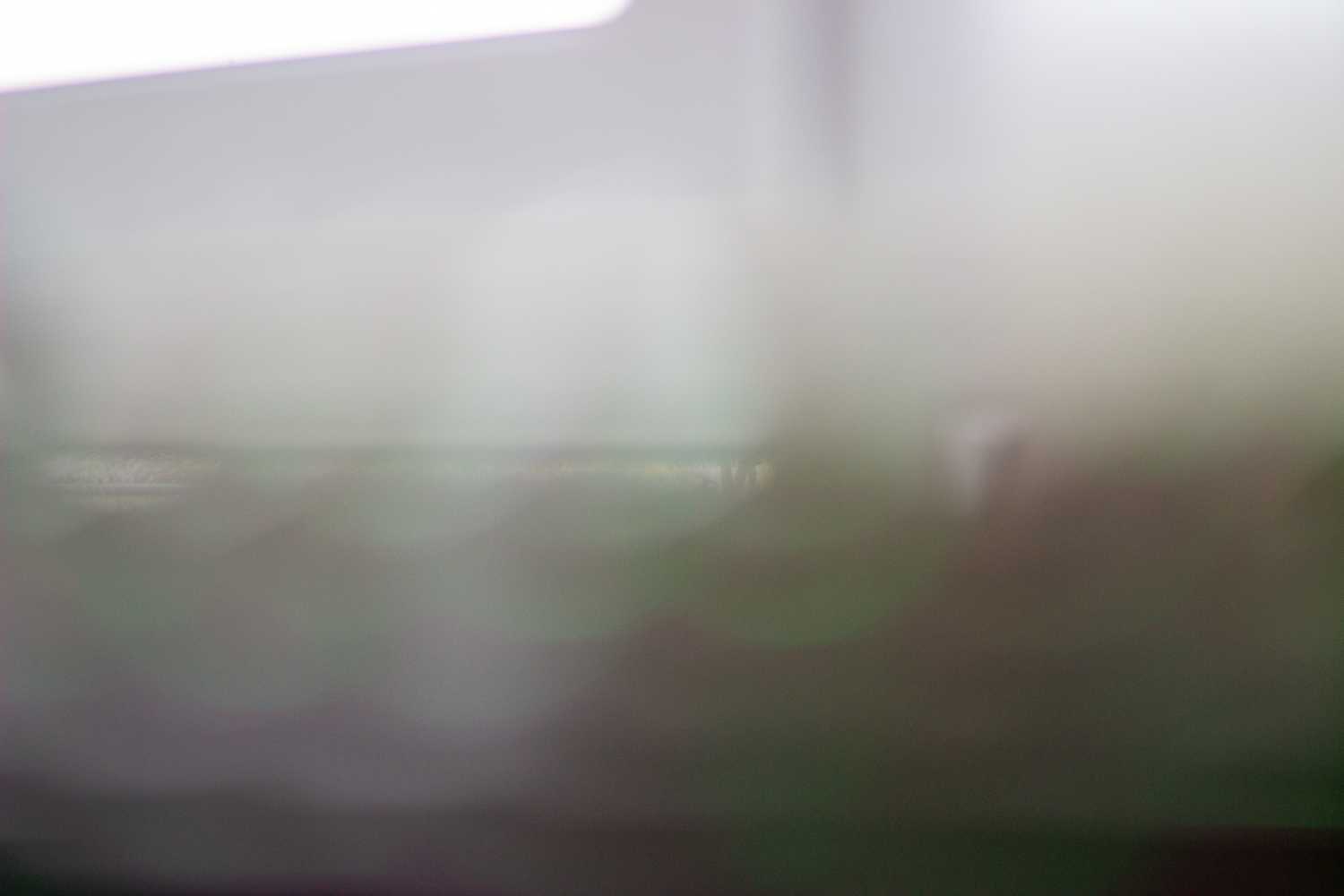 A photograph captured by the Kunst digital organism