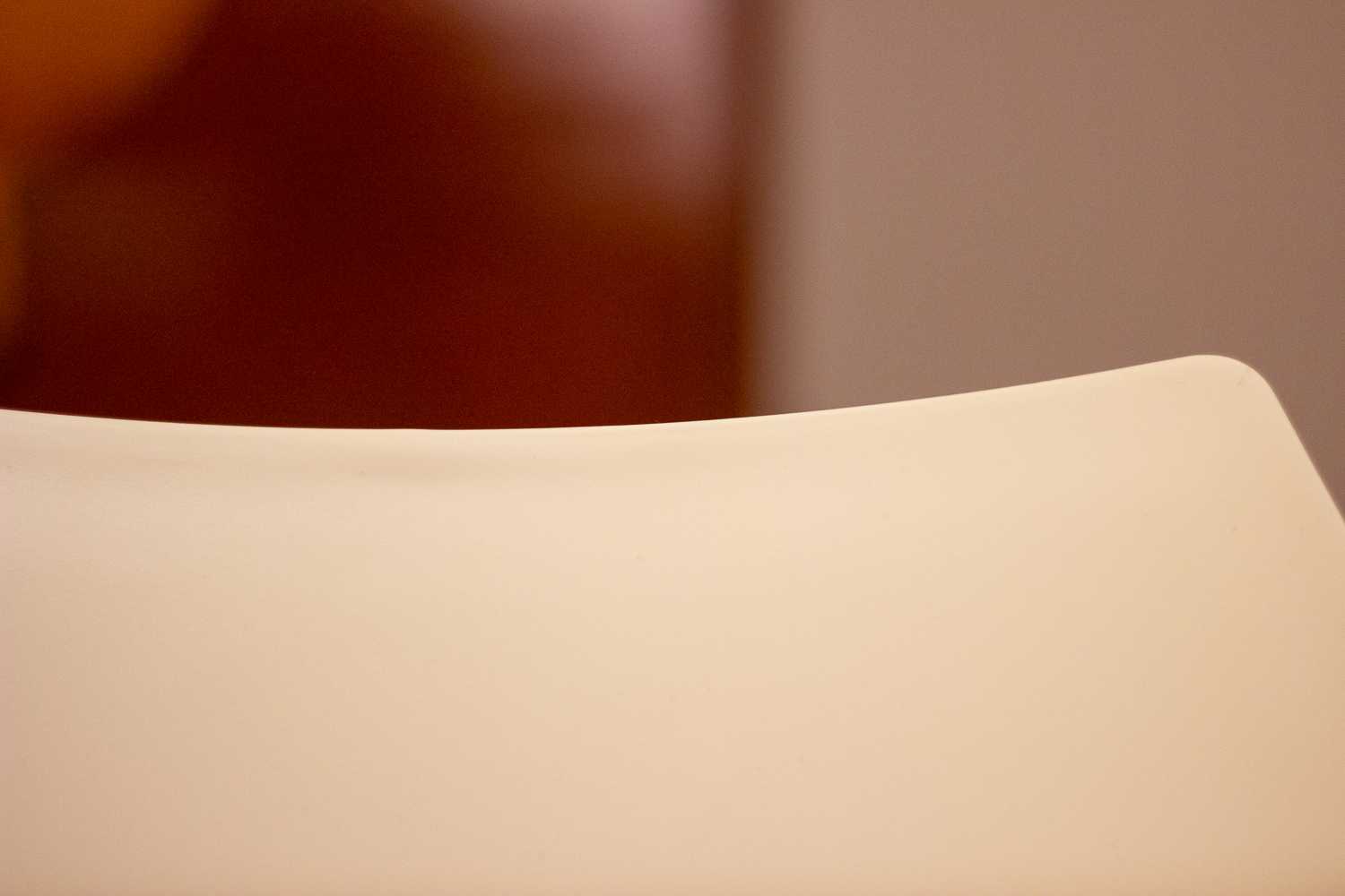 A photograph captured by the Kunst digital organism