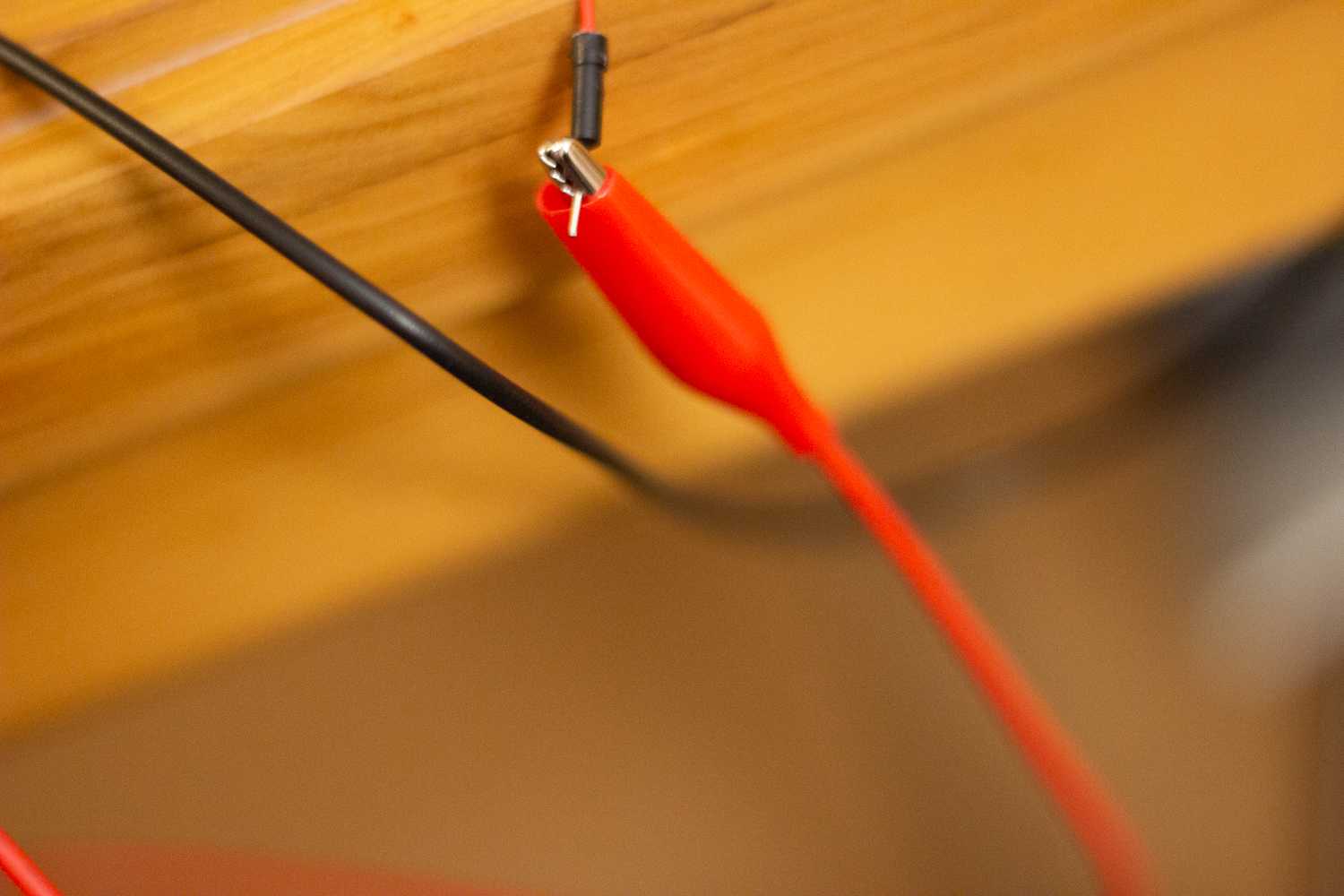 A photograph captured by the Kunst digital organism