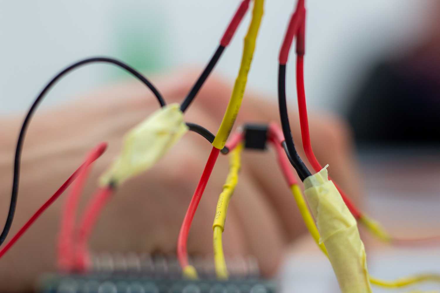 A photograph captured by the Kunst digital organism