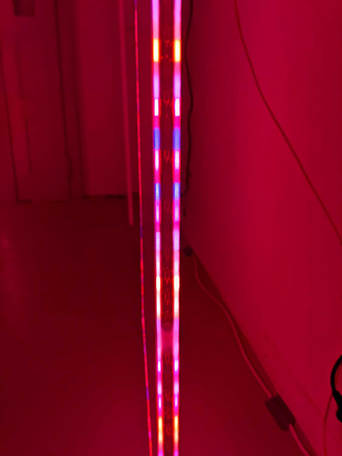 Installation view of Liturgical Space